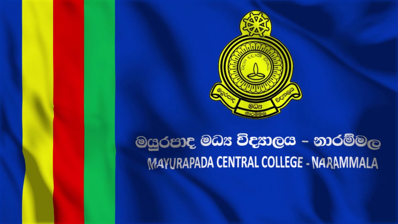 School Flag (Sample)